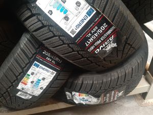 205/45/17  ARIVO 88W