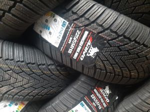 225/55/18  ARIVO 98H