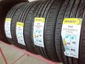 215/45R17 DELINTE 91W